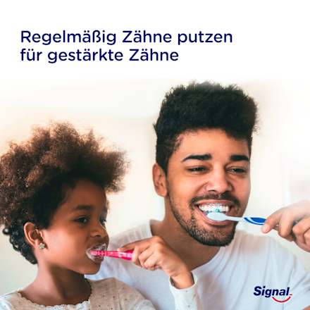 Zahnbürste Integral 8 DFB-Edition medium Signal