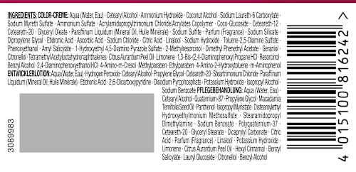 Haarfarbe 10-91/240 Pudriges Silberblond Palette Intensive Color Creme