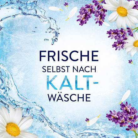 Weichspüler Wie frisch geduscht Gefühl  Lenor