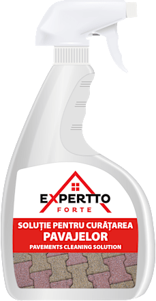 Soluție curățare pavaj Forte Expertto
