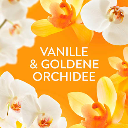 Wäscheparfum Goldene Orchidee Lenor