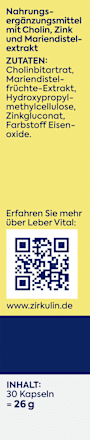 Kapseln Leber Vital Zirkulin