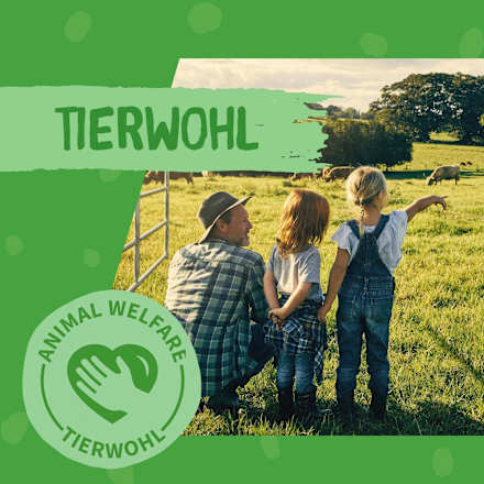 Kausnack Hund, Hühnerbruststücke DOKAS