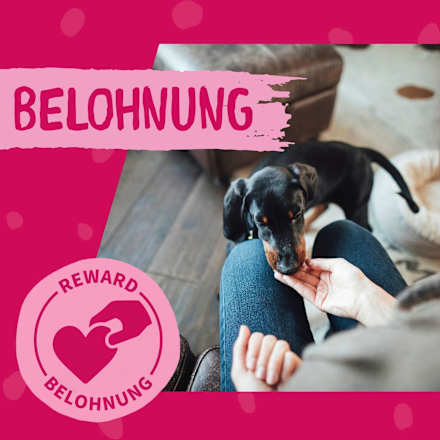 Kausnack Hund, Hühnerbruststücke DOKAS