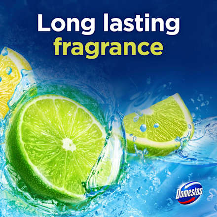 WC-Stein Limette  Domestos