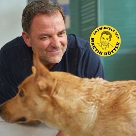 Hundeshampoo Kurzhaar Petchen