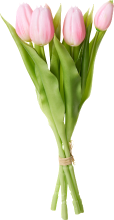 Tulpenbund, rosa (31 cm) Dekorieren & Einrichten
