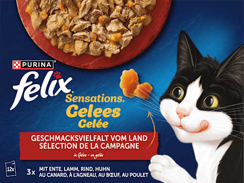 Nassfutter Katze Sensations Gelees Geschmacksvielfalt vom Land Felix