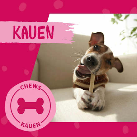 Kausnack Hund, Kaustange mit Hühnerbrust DOKAS