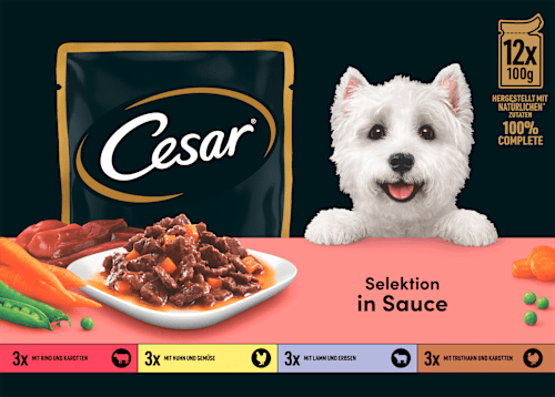 Nassfutter Hund Selektion in Sauce (12 x 100g) Cesar
