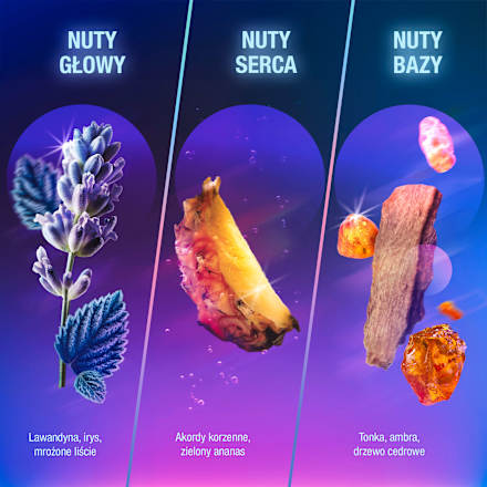 Infinite Man Woda perfumowana męska bruno banani