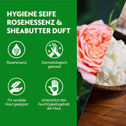 Flüssigseife No-Touch Sheabutter & Rosen Nachfüllpack Dettol