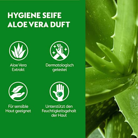 Flüssigseife Aloe Vera Nachfüllpack Dettol