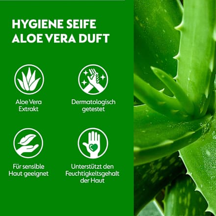 Seifenspender No-Touch + Nachfüllpack Dettol