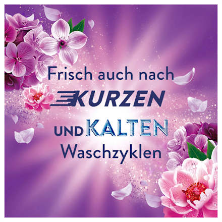 Weichspüler Blütentraum Lenor