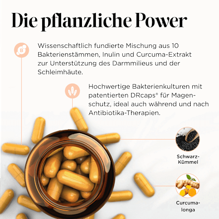 Synbiotic Darm Edition Kapseln 60 St get your well being BY BIOGENA