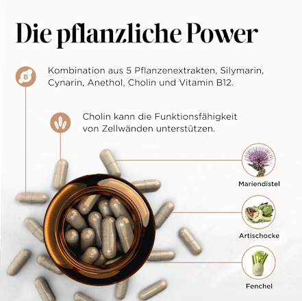 Leber Bitter Edition Kapseln 60 St get your well being BY BIOGENA