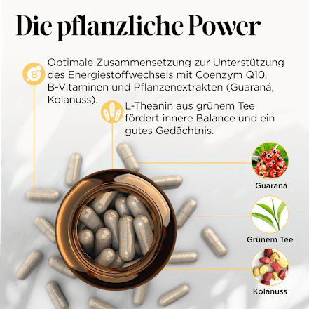 Energy Pro Edition Kapseln 60 St get your well being BY BIOGENA