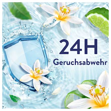 Weichspüler Freshness Guard Lenor