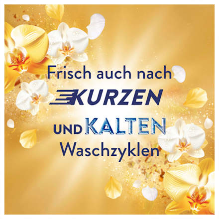 Weichspüler Goldene Orchidee Lenor