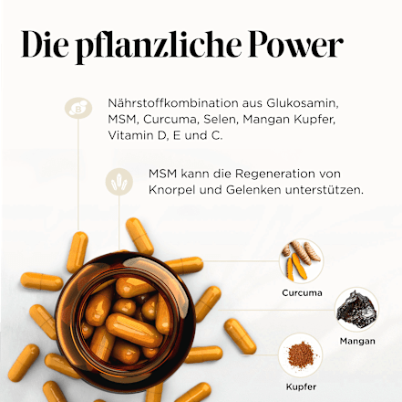 Arthro Gelenks Edition Kapseln 60 St get your well being BY BIOGENA