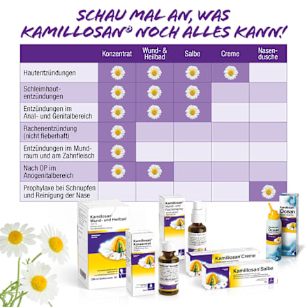 Kamillosan Mund- und Rachenspray zur Anwendung in der Mundhöhle Kamillosan