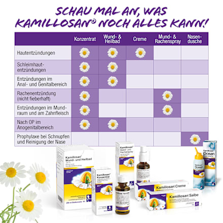 Kamillosan Salbe Kamillenblüten-Trockenextrakt 4,3mg/g Kamillosan