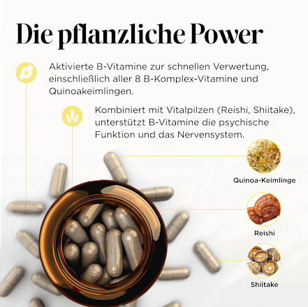 Kapseln Vitamin B Nerven Edition get your well being BY BIOGENA