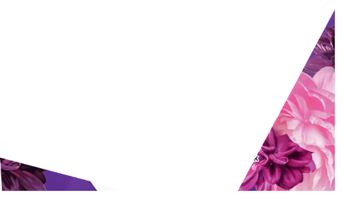 Colowaschmittel Pods Blütentraum Lenor