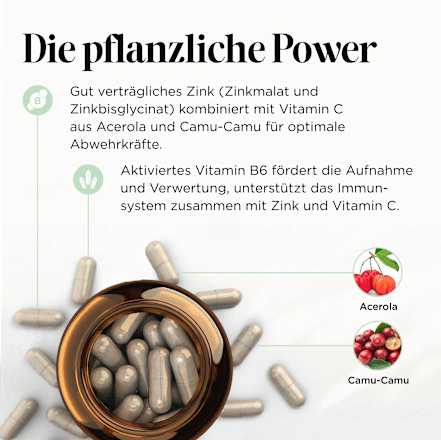 Zink Duo Edition Kapseln 60 St get your well being BY BIOGENA