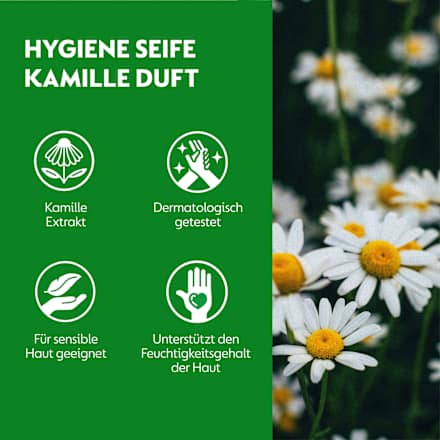 Handseife No-Touch Nachfüller Kamille Dettol