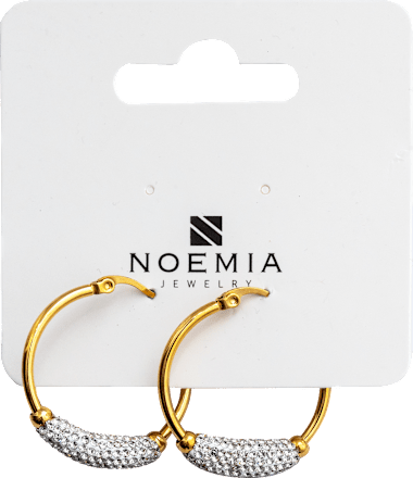 Naušnice Small Cirkon Hoop Noemia