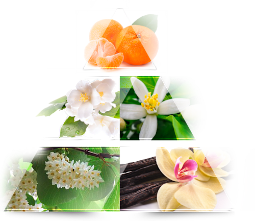 Geschenkset Charisme  LA RIVE