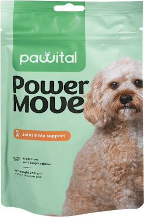 Dopolnilna hrana za pse - prigrizek z lososom Power Move pawital