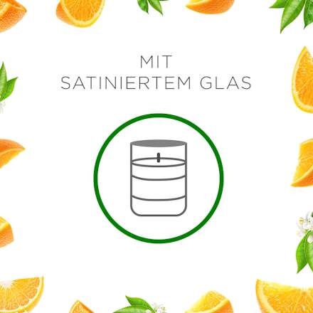 Duftkerze im Glas Citrus 105 g AIR WICK