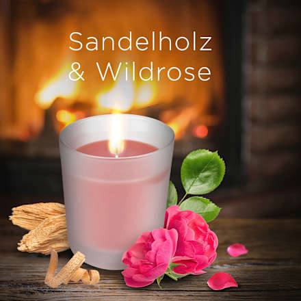 Duftkerze im Glas Sandelholz & Wildrose 105 g AIR WICK