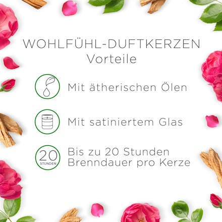 Duftkerze im Glas Sandelholz & Wildrose 105 g AIR WICK