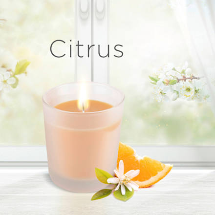 Duftkerze im Glas Citrus (2x105 g) AIR WICK