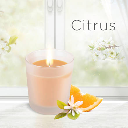 Duftkerze im Glas Citrus 220 g AirWick