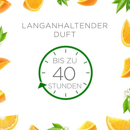 Duftkerze im Glas Citrus 220 g AIR WICK