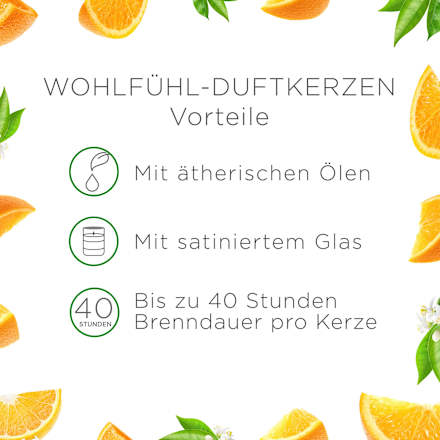Duftkerze im Glas Citrus 220 g AIR WICK