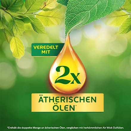 Lufterfrischer Duftstecker Eukalyptus & Zedernholz Nachfüllpack AIR WICK