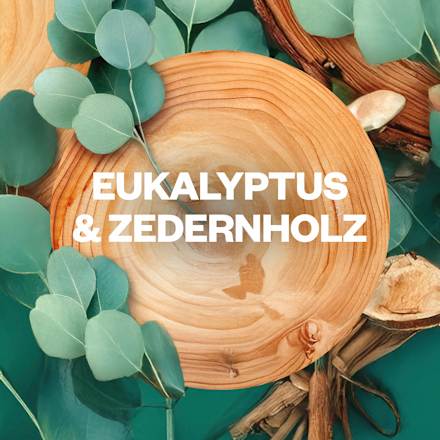 Lufterfrischer Duftstecker Eukalyptus & Zedernholz Nachfüllpack AIR WICK
