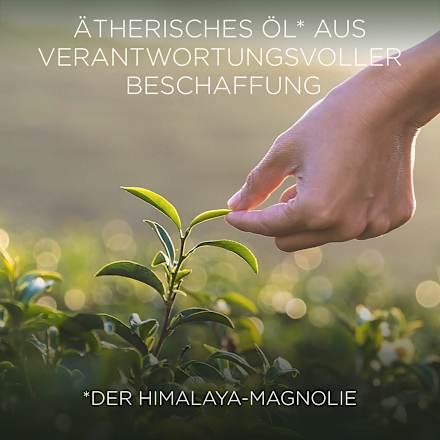 Duftkerze im Glas Himalaya-Magnolie & Vanille 205 g BOTANICA BY AIR WICK