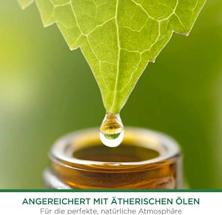 Lufterfrischer Freshmatic Feel Comfy Coconut & Orange AIR WICK