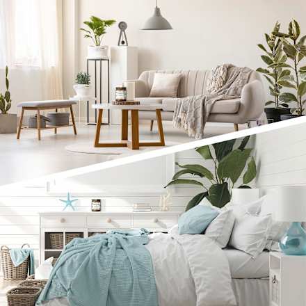 Duftkerze im Glas Karibisches Süßgras & Sandelholz 205 g BOTANICA BY AIR WICK