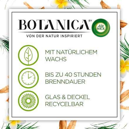 Duftkerze im Glas Karibisches Süßgras & Sandelholz 205 g BOTANICA BY AIR WICK