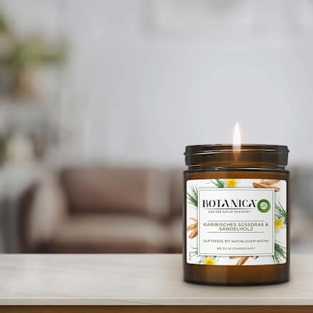 Duftkerze im Glas Karibisches Süßgras & Sandelholz 205 g BOTANICA BY AIR WICK