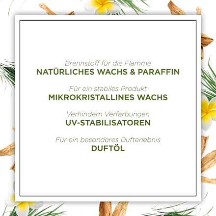 Duftkerze im Glas Karibisches Süßgras & Sandelholz 205 g BOTANICA BY AIR WICK