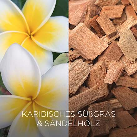 Duftkerze im Glas Karibisches Süßgras & Sandelholz 205 g BOTANICA BY AIR WICK